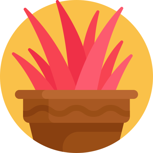 Plant pot